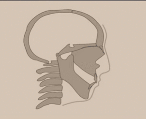 27B37722-38A8-4000-8BCA-DA74DB647167.gif