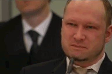 tumblr_m3953sQ3bM1rqp4rgo1_400.gif