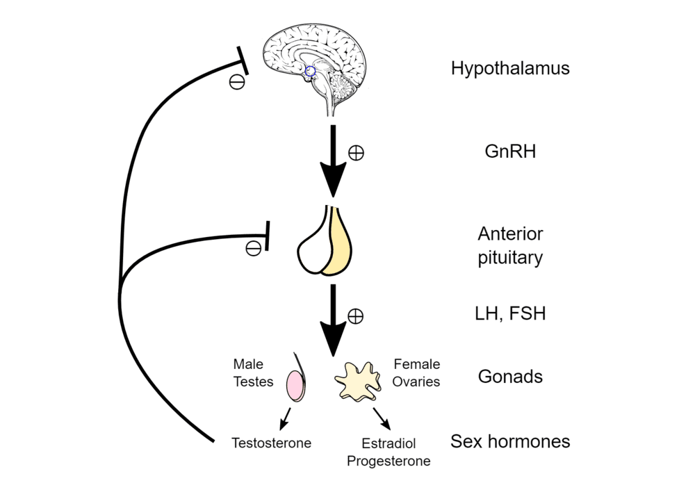 1590992675511