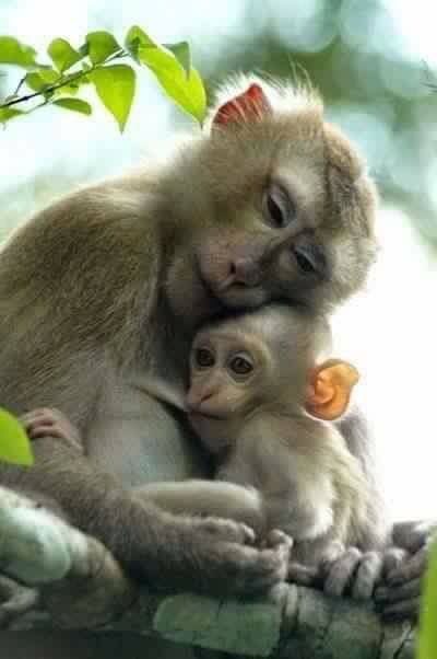 Images 14