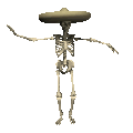 Image asset Image asset