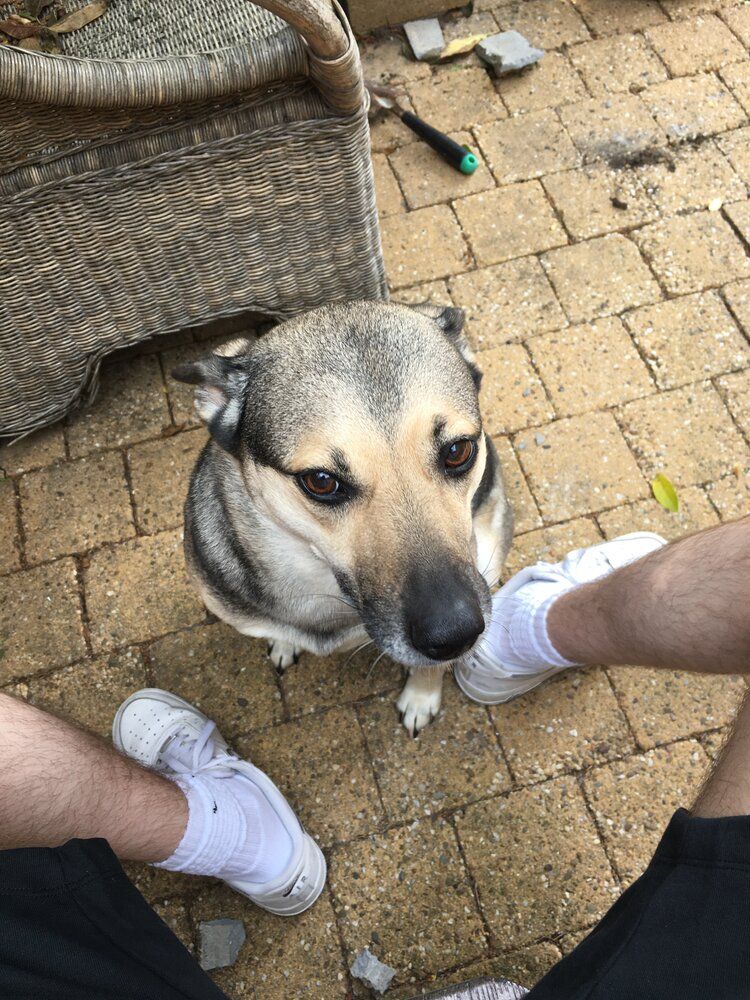 DFC96ECF 6584 4DF6 84A3 EEE4458328D9