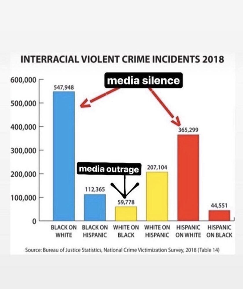 WHERES THE PHOTO WITH A GRAPH SHOWING WHAT BLM ARE PROTESTING ...