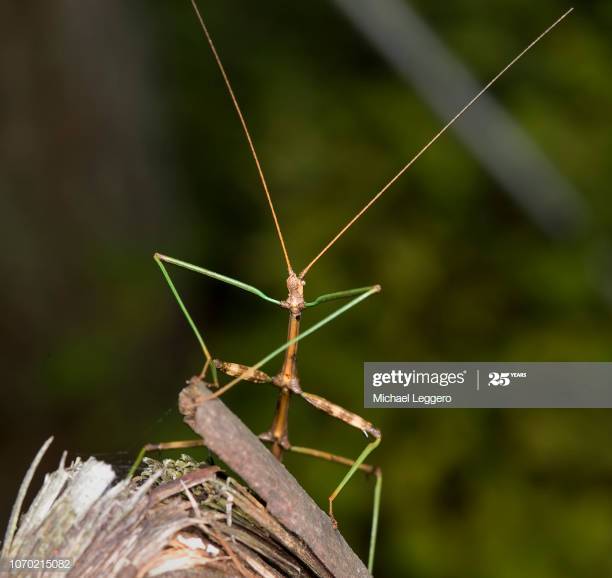Gettyimages 1070215082 612x612