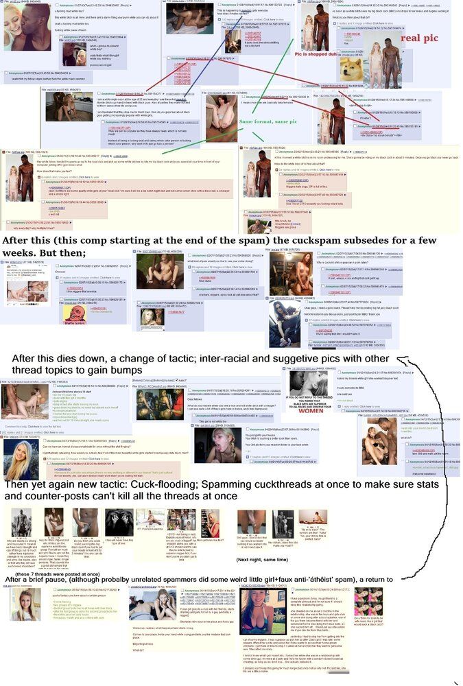 Niggering campaign