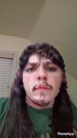 Hammy4