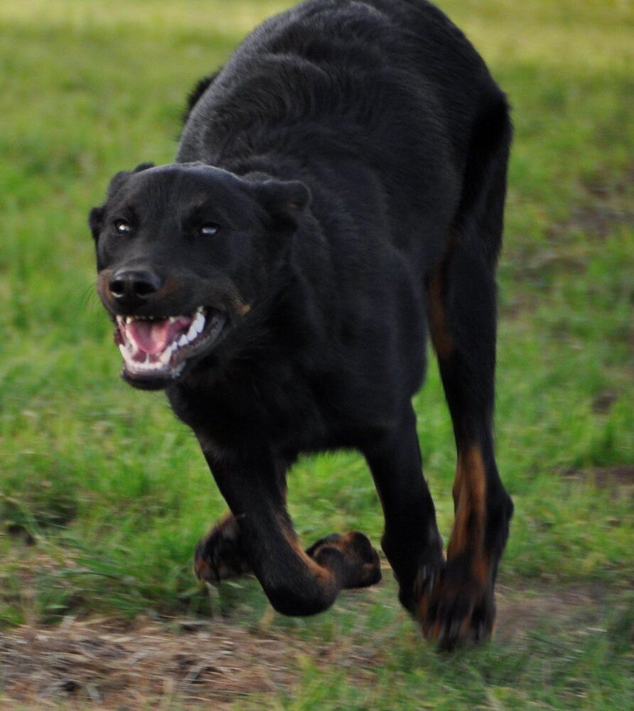 5723522790 3ce8d93426 b