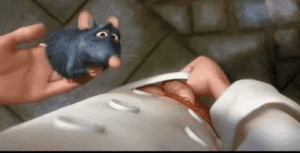 Thumb in ratatouille 2007 you can clearly see when remy was 71278357