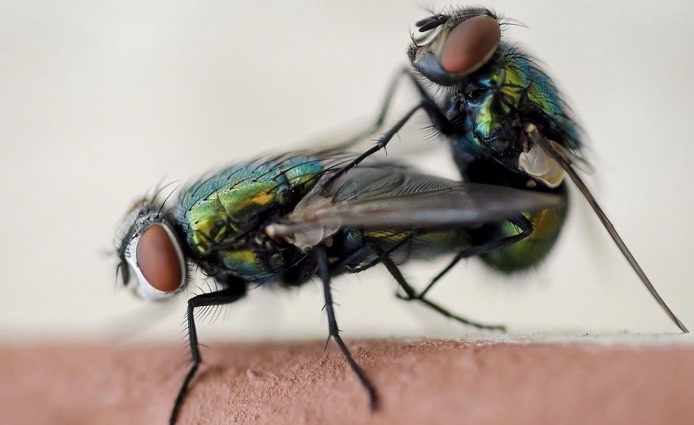 EAB22ED5 C336 4B63 92D8 90114F5A2B1A