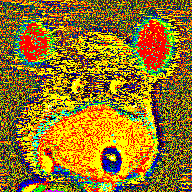 Final Evolution
