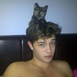 Chicocat
