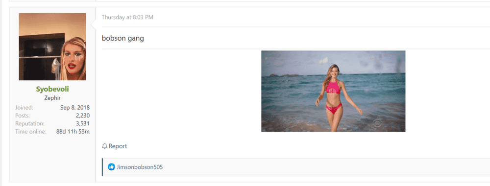 Screenshot 38
