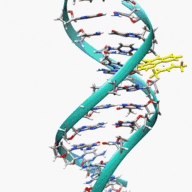 1591441833264