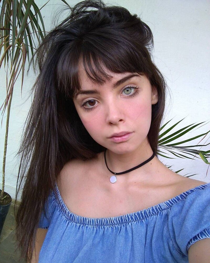 C81b7df79581f05b5b6b8ef1db588a8e