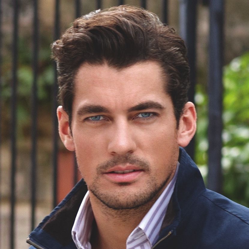 David Gandy1