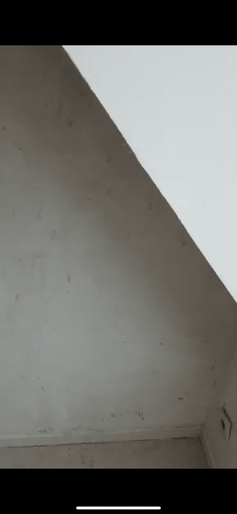A03333C7 E909 4770 B40B 7D13D2214D9D