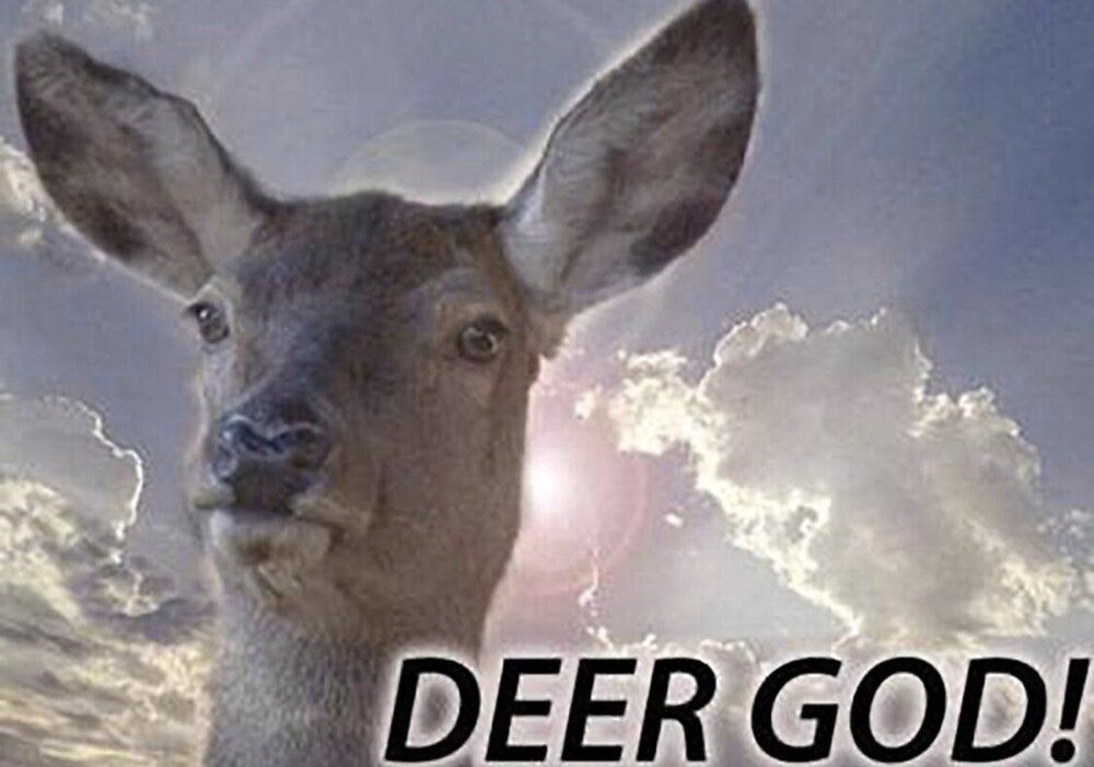 DEERGOD