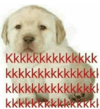 KKKKKKKKKKKKKK