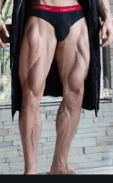Ideal legs