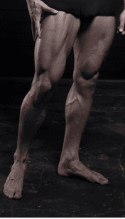 Ideal legs 2