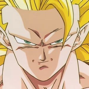 SSJ3 1