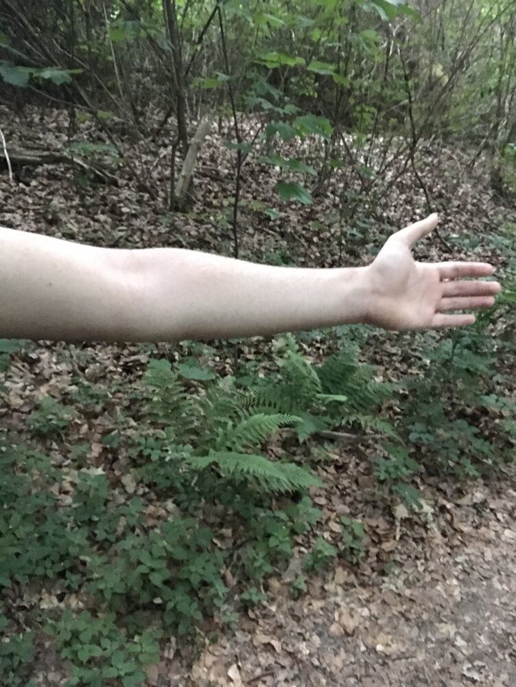 2AB78D2C 9C25 48AF 852C 4E02C892CC79