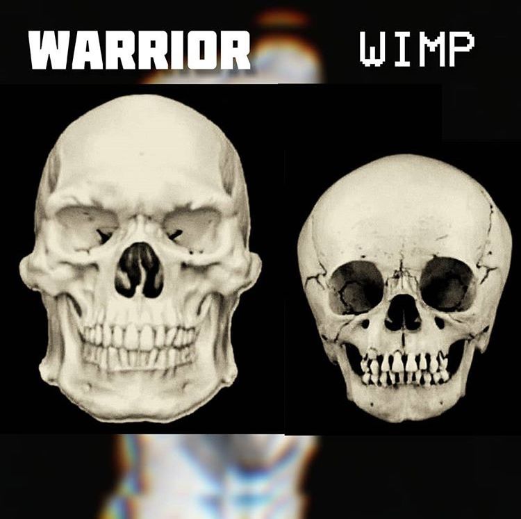 6F15C4DD 45B2 4186 8F9A B66E3D7EBF89