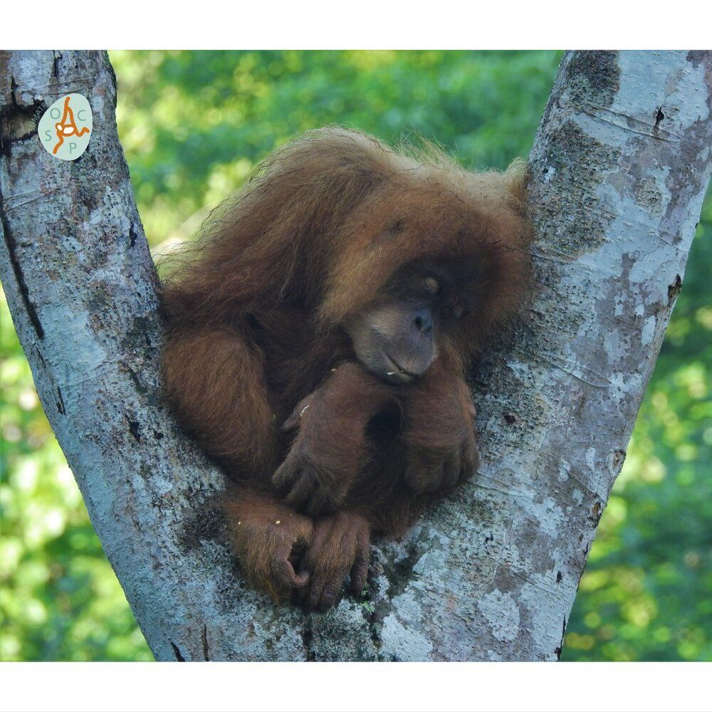 C7291182 D5EE 4CD9 884B 8F59434F2B1E