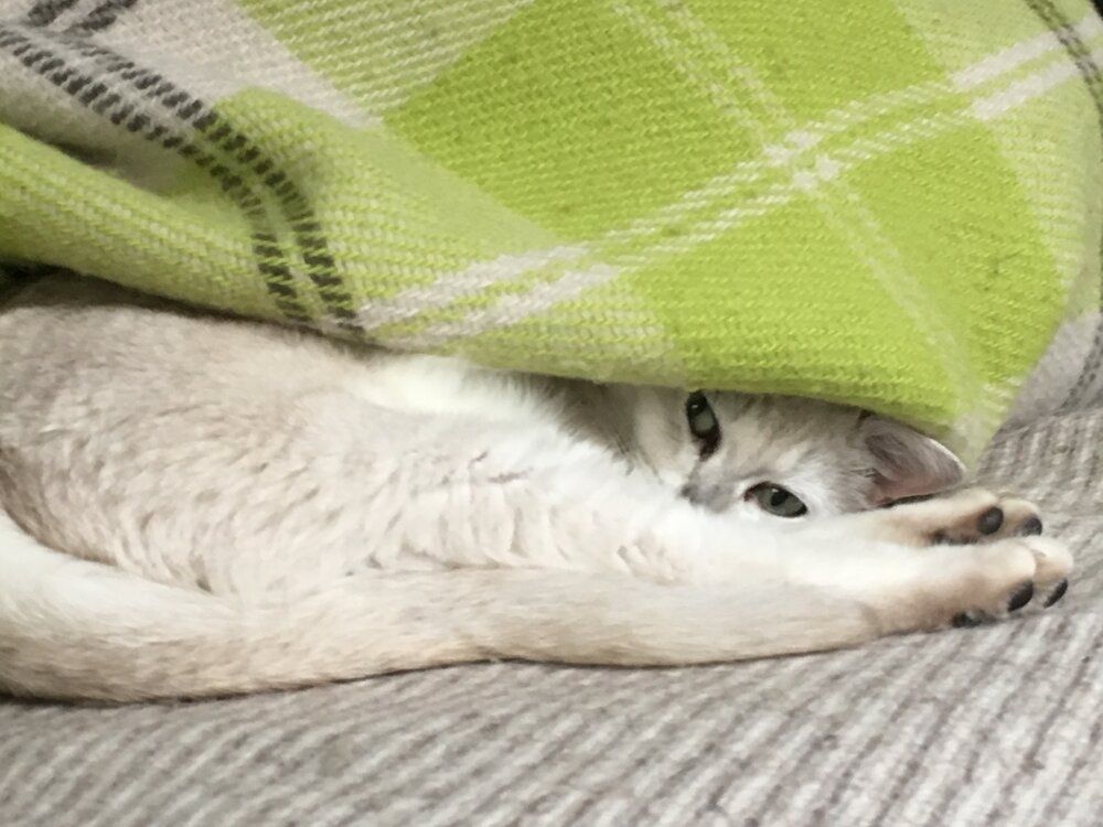 2DF1D700 AD63 4507 B1B6 1F478780416F