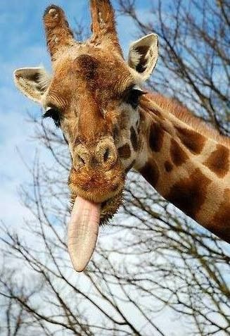 B09cf51732cf2bdbcf464540bc51d6a2