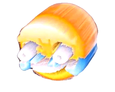 1558406313662