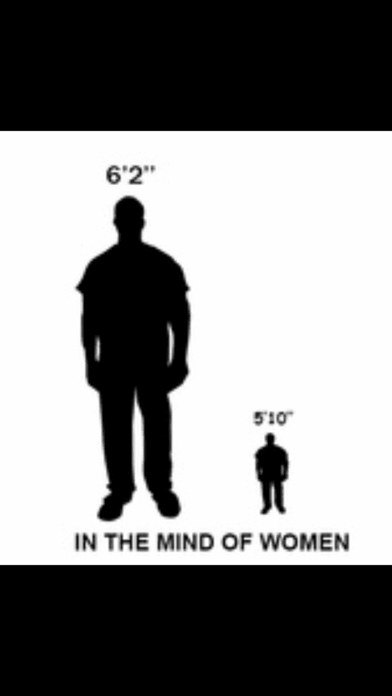 84B68F35 FE83 402F 922D AA71A49BA264