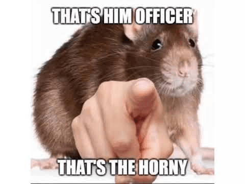 A5F27307 AE23 4D46 97D9 C6AAF7F683FB