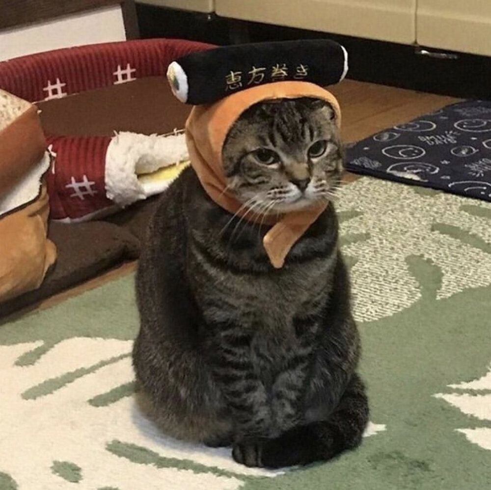 5C94EA82 53EA 49D2 BDCC 32F53414E12A