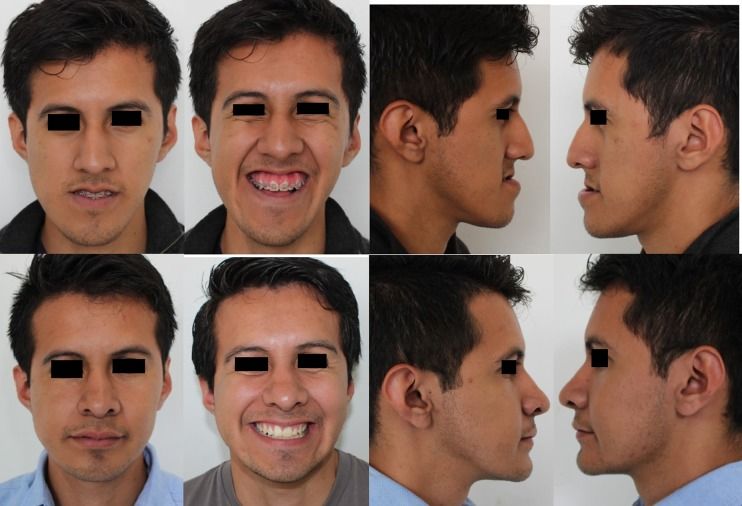 12663 2016 893 Fig40 HTML