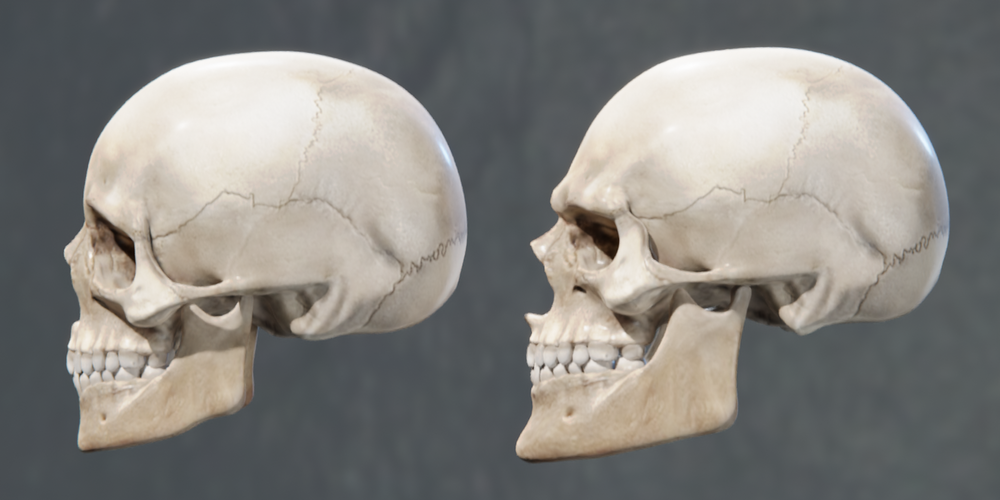 IncelVsChad3
