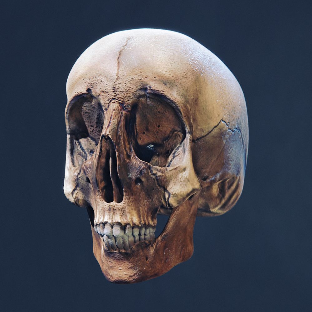 Male Ancient1