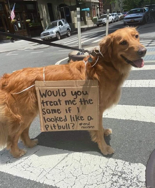 1592663712721