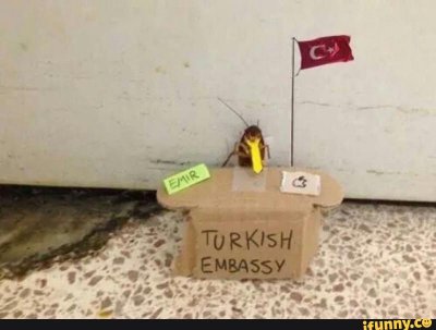Comment EKSQzDIwHbN7mVxCcarDcr2Oak0DoTQHw400