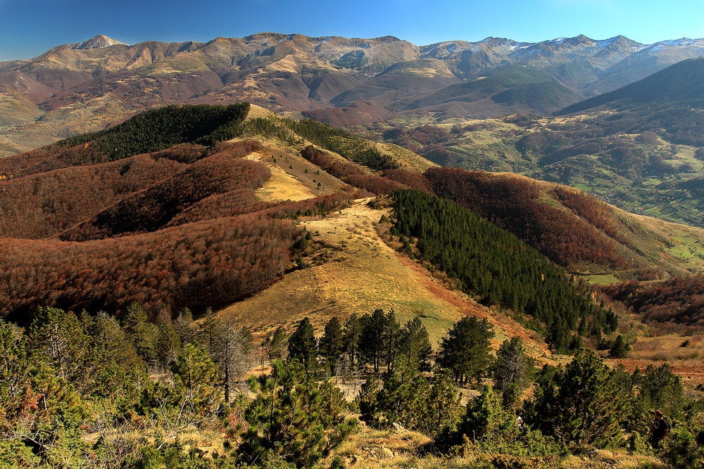 Long ridge of Pashallore
