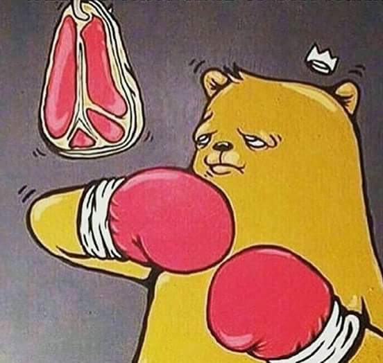 BEF9A3A3 DCC5 462D 95C2 C8B5C352769C