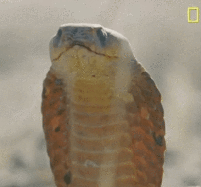 0ACB5A46 00A6 4DFA 9F27 19F31D868703