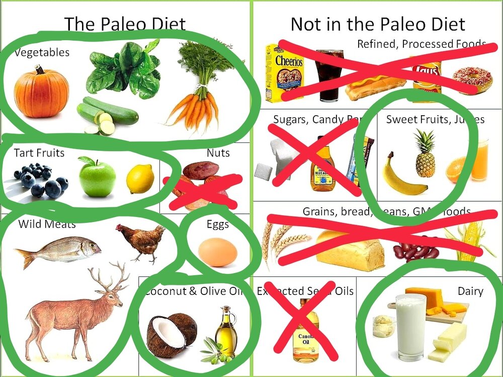 PaleoDiet  01  01