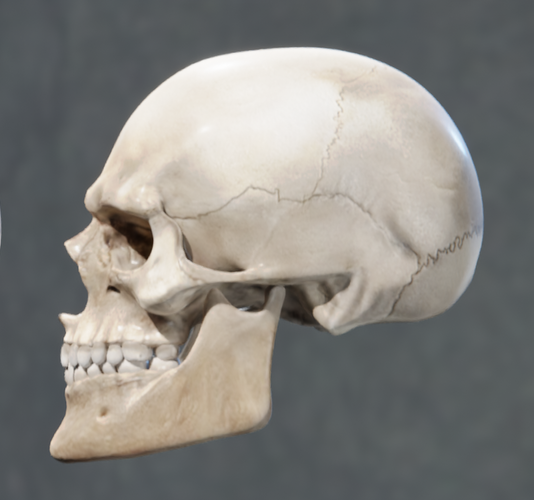 IncelVsChad32
