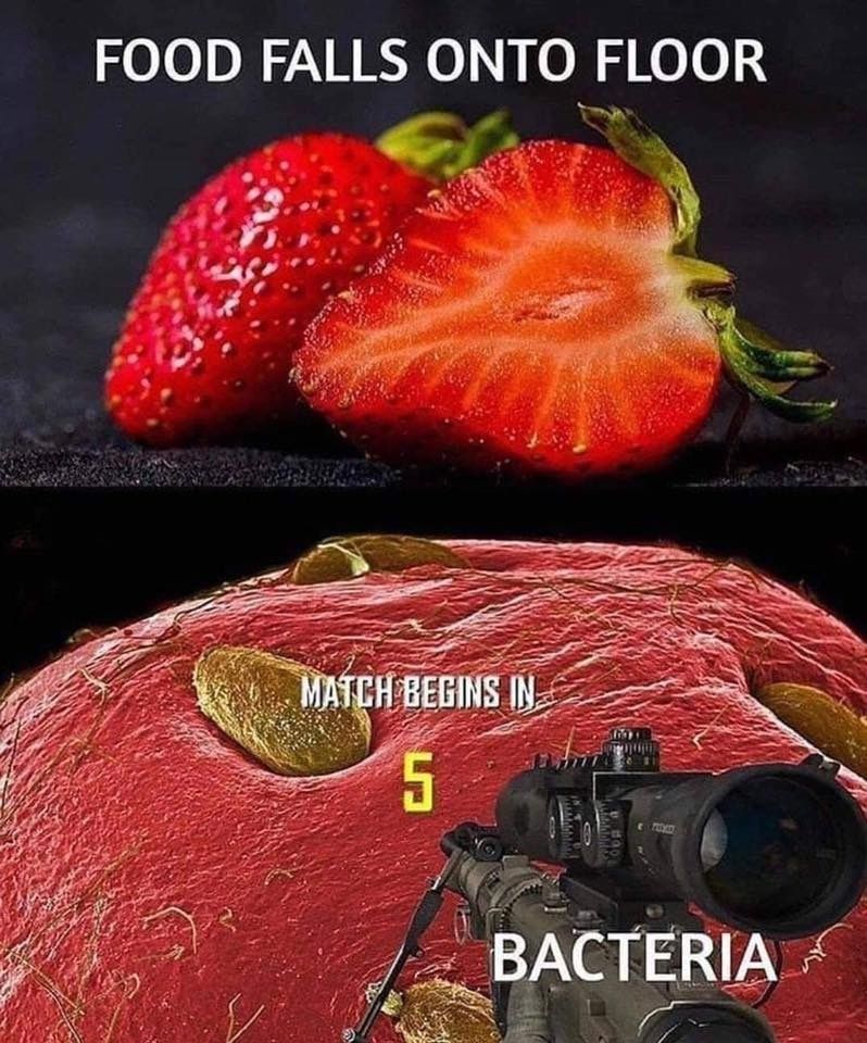 1583067118576 1583067118576