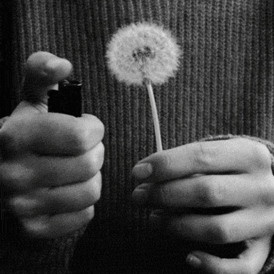 1593069567024 1593069567024