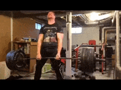 SimilarBriefFinnishspitz max 1mb SimilarBriefFinnishspitz max 1mb