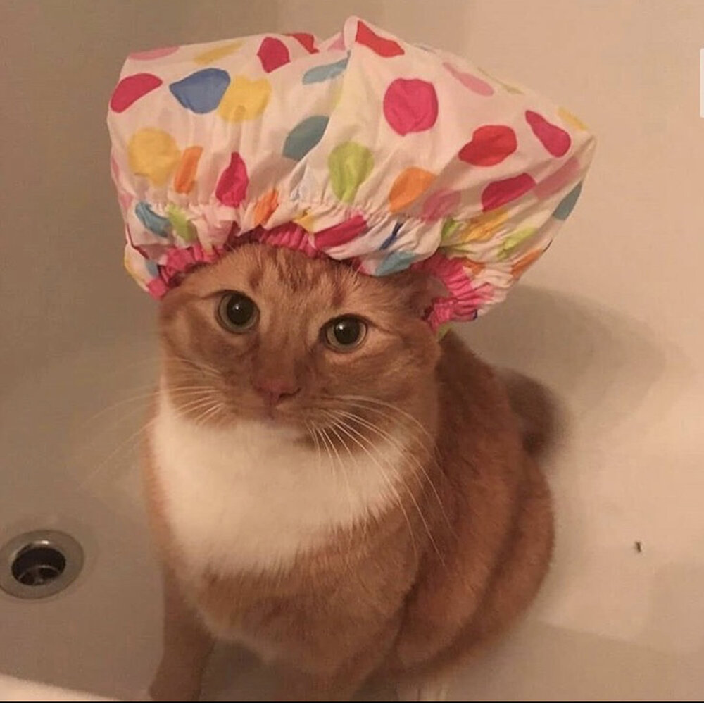 B3B71A94 6EB3 4B6B B474 746F774A9607