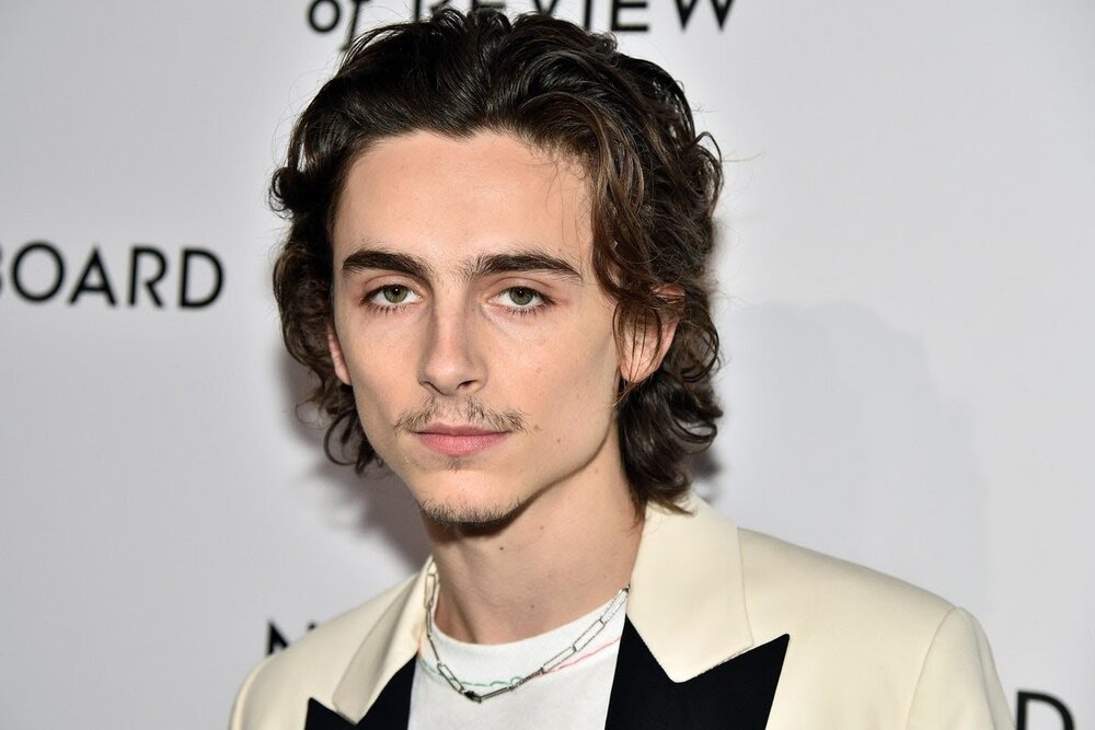 Timothee chalamet
