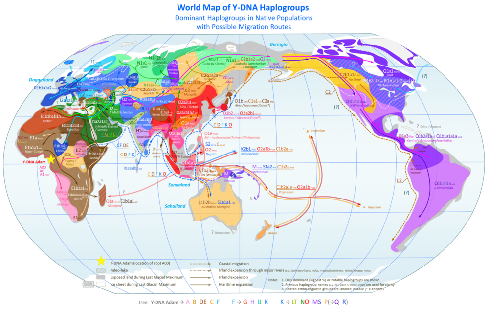 1920px World Map of Y DNA Haplogroups1